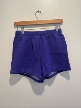 Tna Aritzia Cozy Fleece Purple Shorts
